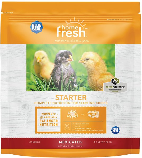 Blue Seal Home Fresh Starter AMP-Medicated 20% Protein Poultry Food, 7-lb bag slide 1 of 6