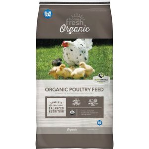 Blue Seal Home Fresh Organic Chicken 16% Protein Layer Pellet Poultry Food, 40-lb bag