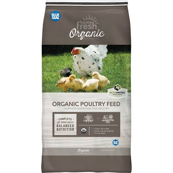 Kent / Blue Seal Home Fresh Organic Chicken 16% Protein Layer Pellet Poultry Food, 40-lb bag