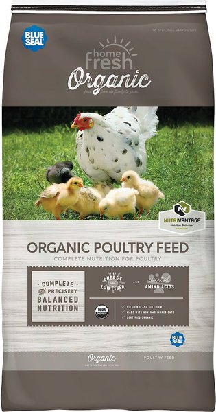 Blue Seal Home Fresh Organic Starter Broiler 23% Protein Crumble Chicken Food, 40-lb bag slide 1 of 8