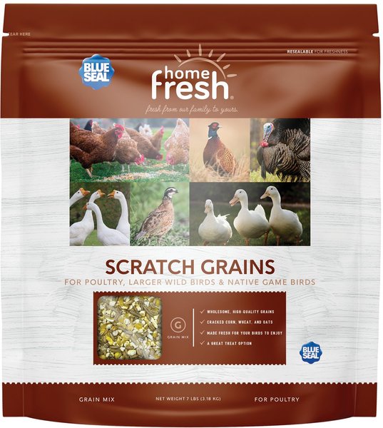 Blue Seal Home Fresh 8% Protein Scratch Grains Poultry Food, 7-lb bag slide 1 of 6