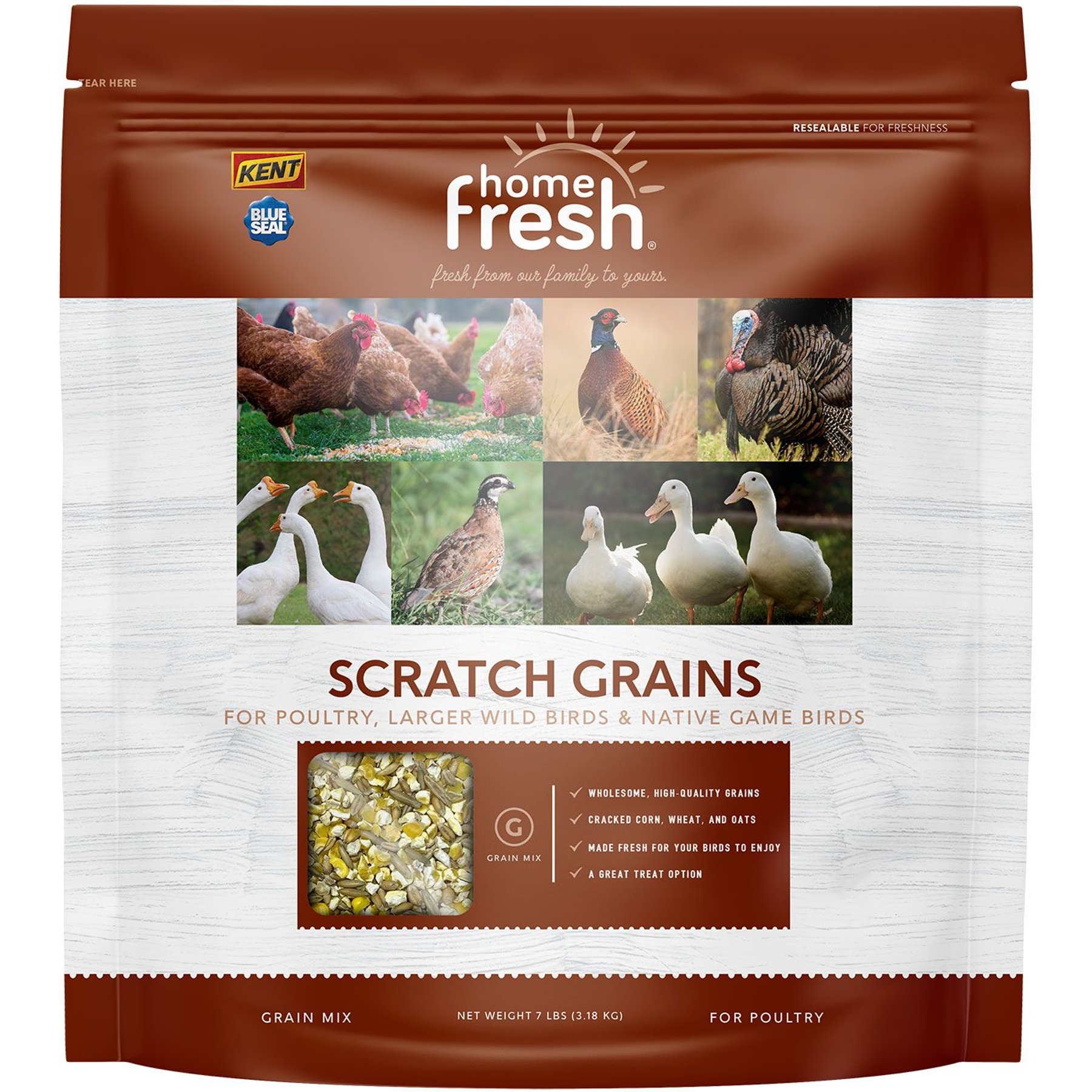 Kent / Blue Seal Home Fresh Sunny Mealworm Premium Poultry & Chicken Treat Bar, 1.6-lb block