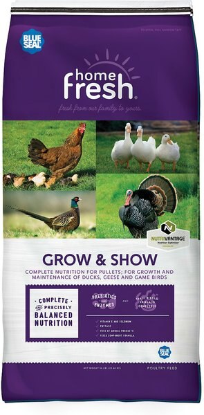 Kent / Blue Seal Home Fresh Grow & Show 15% Protein Crumbles Poultry Feed, 50-lb bag