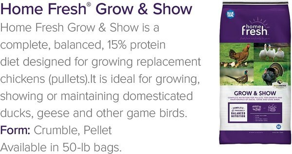 Kent / Blue Seal Home Fresh Grow & Show 15% Protein Crumble Poultry Feed