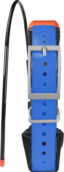 Garmin T 5X Dog Device Collar, Black with Blue Collar slide 1 of 7