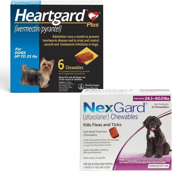 Heartgard Plus Chew for Dogs, up to 25 lbs, (Blue Box), 6 Chews (6-mos. supply) & NexGard Chew for Dogs, 24.1-60 lbs, (Purple Box), 6 Chews (6-mos. supply) slide 1 of 9