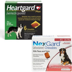 Heartgard Plus Chew for Dogs, 26-50 lbs, (Green Box), 6 Chews (6-mos. supply) & NexGard Chew for Dogs, 60.1-121 lbs, (Red Box), 6 Chews (6-mos. supply)