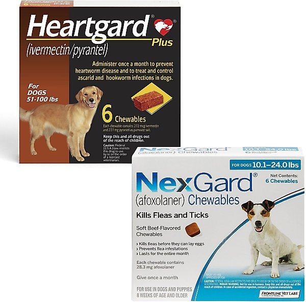 Heartgard Plus Chew for Dogs, 51-100 lbs, (Brown Box), 6 Chews (6-mos. supply) & NexGard Chew for Dogs, 10.1-24 lbs, (Blue Box), 6 Chews (6-mos. supply) slide 1 of 9
