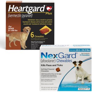 Heartgard Plus Chew for Dogs, 51-100 lbs, (Brown Box), 6 Chews (6-mos. supply) & NexGard Chew for Dogs, 10.1-24 lbs, (Blue Box), 6 Chews (6-mos. supply)