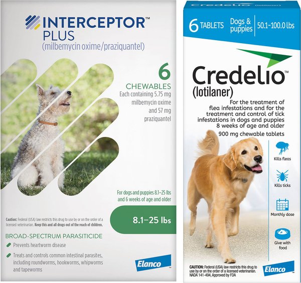 Interceptor Plus Chew for Dogs, 8.1-25 lbs, (Green Box), 6 Chews (6-mos. supply) & Credelio Chewable Tablet for Dogs, 50.1-100 lbs, (Blue Box), 6 Chewable Tablets (6-mos. supply) slide 1 of 9