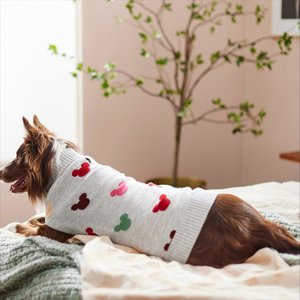 Chewy sweaters outlet for dogs