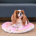HappyCare Textiles 3D Realistic Donut Print Bolster Dog Bed, Pink Party Sprinkle, 25-in