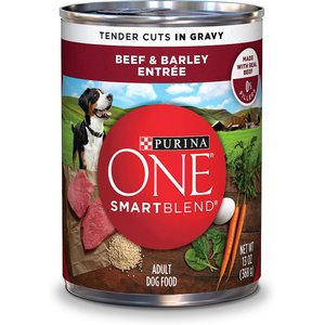 Purina ONE SmartBlend Tender Cuts in Gravy Beef & Barley Entree Adult Canned Dog Food, 13-oz, case of 24