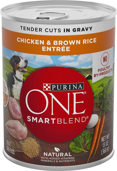 Purina ONE SmartBlend Tender Cuts in Gravy Chicken & Brown Rice Entree Adult Canned Dog Food, 13-oz, case of 12, bundle of 2 slide 1 of 11