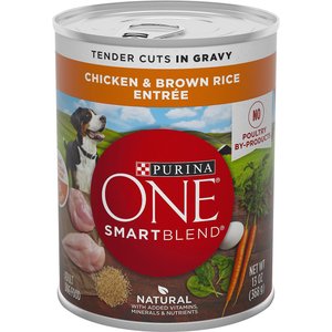 Purina ONE SmartBlend Tender Cuts in Gravy Chicken & Brown Rice Entree Adult Canned Dog Food, 13-oz, case of 24