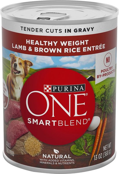 Purina ONE SmartBlend Tender Cuts in Gravy Lamb & Brown Rice Entree Adult Canned Dog Food, 13-oz, case of 12, bundle of 2 slide 1 of 9
