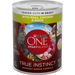 Purina ONE SmartBlend True Instinct Tender Cuts in Gravy with Real Chicken & Duck Canned Dog Food, 13-oz, case of 24