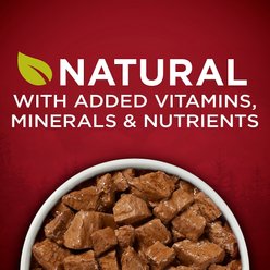 Purina ONE SmartBlend True Instinct Tender Cuts in Gravy with Real Chicken & Duck Canned Dog Food, 13-oz can, bundle of 24  slide 2 of 8