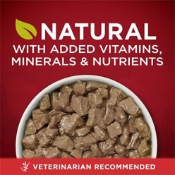 Purina ONE SmartBlend True Instinct Tender Cuts in Gravy with Real Beef & Wild-Caught Salmon Canned Dog Food, 13-oz, case of 24 slide 2 of 9
