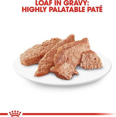 Show full view: Royal Canin Breed Health Nutrition Chihuahua Loaf In Gravy Pouch Dog Food, 3-oz, case of 12, bundle of 2 slide 4 of 12