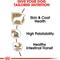 Show in main carousel: Royal Canin Breed Health Nutrition Chihuahua Loaf In Gravy Pouch Dog Food, 3-oz, case of 12, bundle of 2 slide 6 of 12