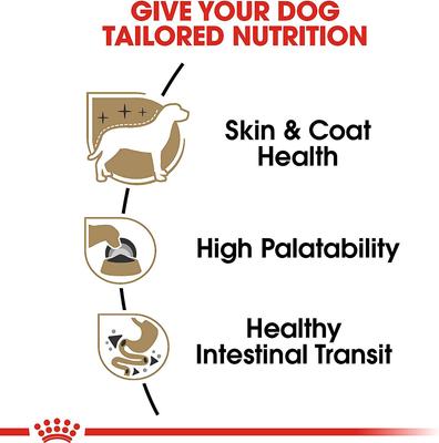 Show full view: Royal Canin Breed Health Nutrition Chihuahua Loaf In Gravy Pouch Dog Food, 3-oz, case of 12, bundle of 2 slide 6 of 12