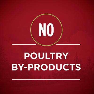 Show full view: Purina ONE SmartBlend True Instinct Classic Ground Grain-Free Variety Pack Canned Dog Food, 13-oz can, bundle of 24  slide 8 of 12