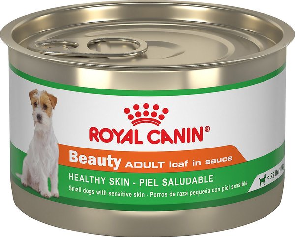 Vild At dræbe kom sammen ROYAL CANIN Beauty Healthy Skin Adult Canned Dog Food, 5.2-oz, case of 24,  bundle of 2 - Chewy.com