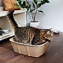 Frisco High-Sided Disposable Cat Litter Box, Jumbo, 2 Count
