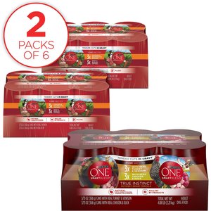 Purina ONE SmartBlend True Instinct Tender Cuts in Gravy Variety Pack Canned Dog Food + Tender Cuts in Gravy Variety Pack Wet Food