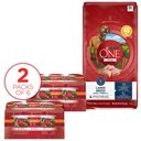 Purina ONE Natural Large Breed +Plus Formula Dry Dog Food + SmartBlend Tender Cuts in Gravy Variety Pack Wet Food