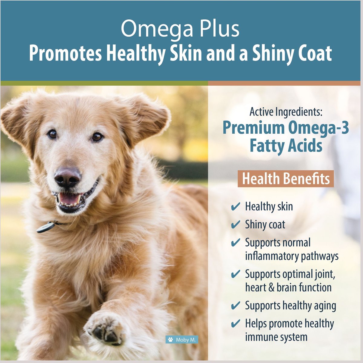 JustFoodForDogs Omega Plus Liquid Skin Coat Supplement for Dogs 8 oz bottle