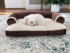 Dog Bed King USA Sofa-Style Lounger Cat & Dog Bed, Brown, Medium