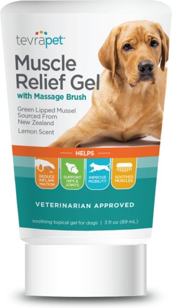 TevraPet Muscle Relief Gel with Massage Brush for Dogs, 3-oz. tube slide 1 of 9