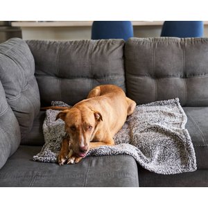 Pet Parents Premium Cat & Dog Blanket, Slate, Medium