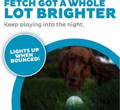 Planet Dog Orbee-Tuff Strobe Ball Light Up LED Dog Toy, Green slide 2 of 7