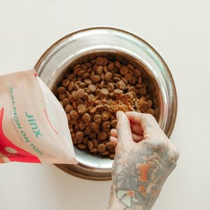Jinx Freeze-Dried Salmon Dry Dog Food Topper, 3-oz bag