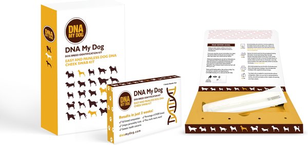 can a dna test tell a dogs age