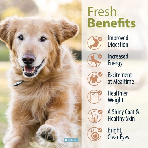 JustFoodForDogs Beef & Russet Potato Recipe Frozen Human-Grade Fresh Dog Food, 18-oz pouch, case of 7