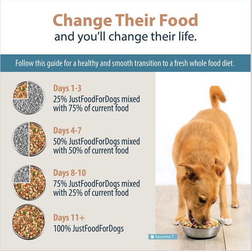 JustFoodForDogs Beef & Russet Potato Recipe Frozen Human-Grade Fresh Dog Food, 18-oz pouch, case of 7