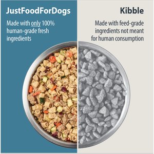 What is human-grade dog food?