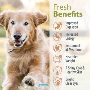 Best human grade dog clearance food