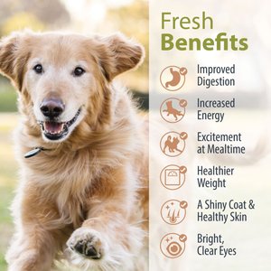 JustFoodForDogs Pantry Fresh Chicken & White Rice Fresh Dog Food, 12.5-oz pouch, case of 12