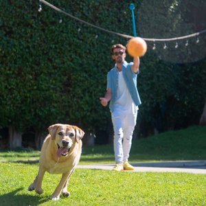 Outward Hound Launch A Ball Squeak Interactive Tennis Ball Launcher Dog Toy