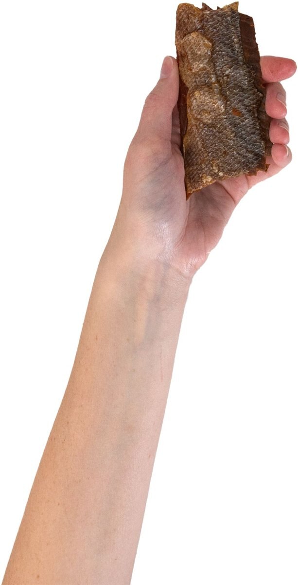 PUPFORD Salmon Jerky Dog Treats, 4oz bag