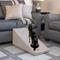 Show in main carousel: Royal Ramps Dog & Cat Ramp, Stone, 14-in slide 7 of 11