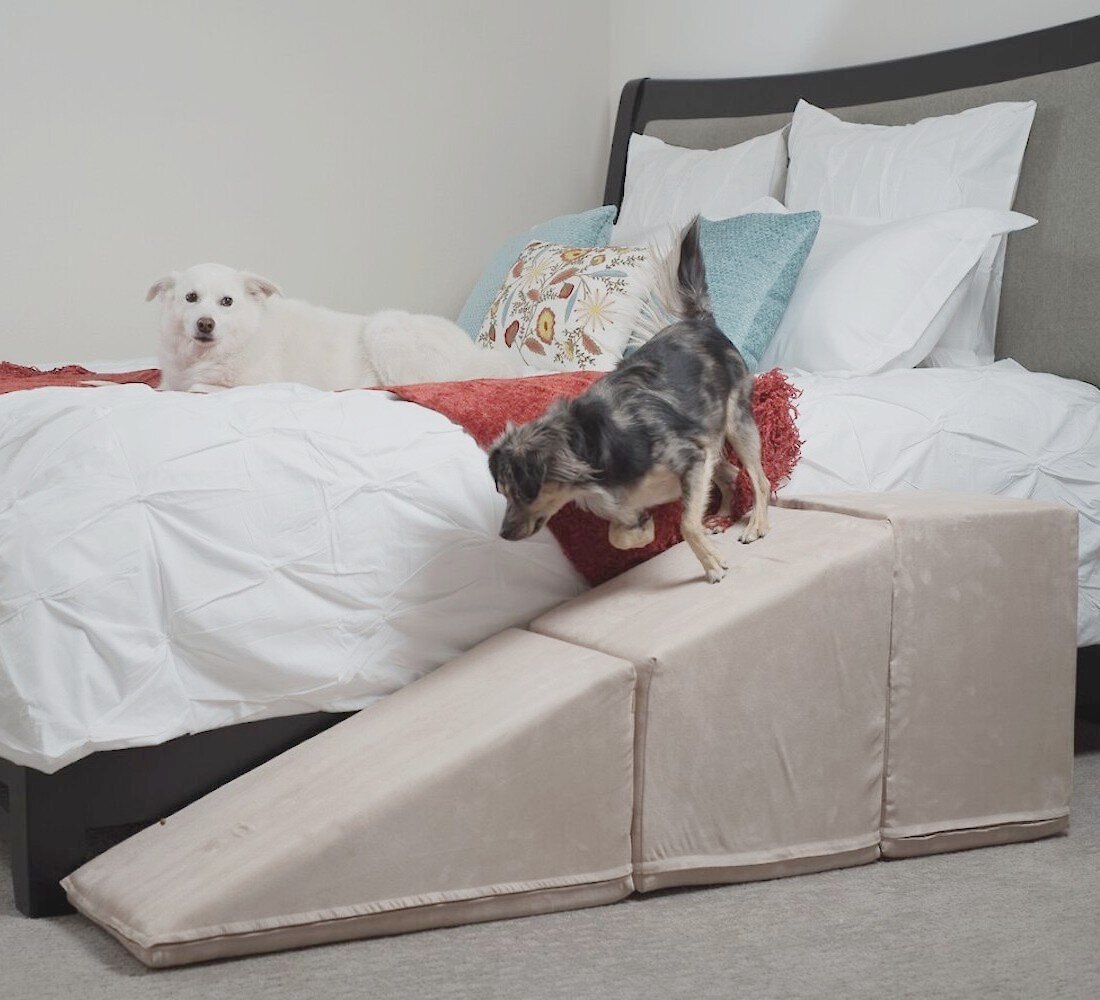 Out of Stock - ROYAL RAMPS Dog & Cat Ramp & Landing, Oyster, 21-in ...