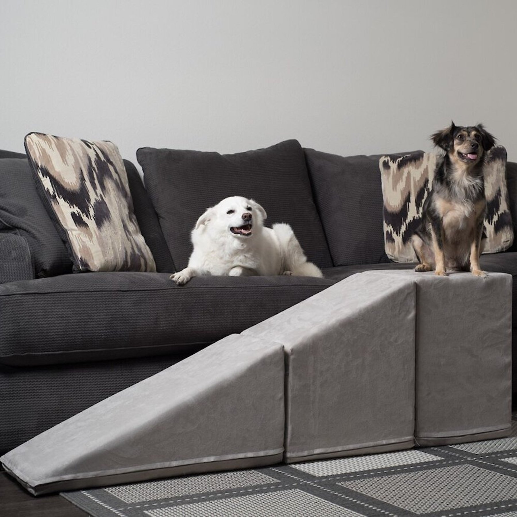 ROYAL RAMPS Extra Wide Dog & Cat Ramp & Landing, Platinum, 21-in ...