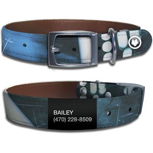 WildHound Faux-Leather Personalized Standard Dog Collar, Backstage, Gun Metal, X-Small