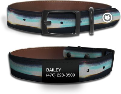 WildHound Faux-Leather Personalized Standard Dog Collar, slide 1 of 1